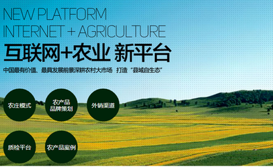 1700億 農村電商市場很大